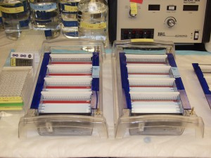 DNA Sequencing equipment